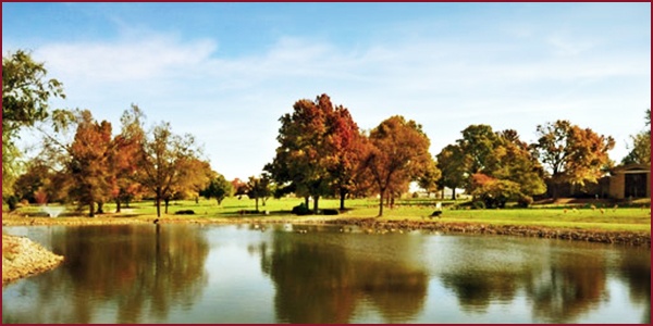 Cemetery.jpg